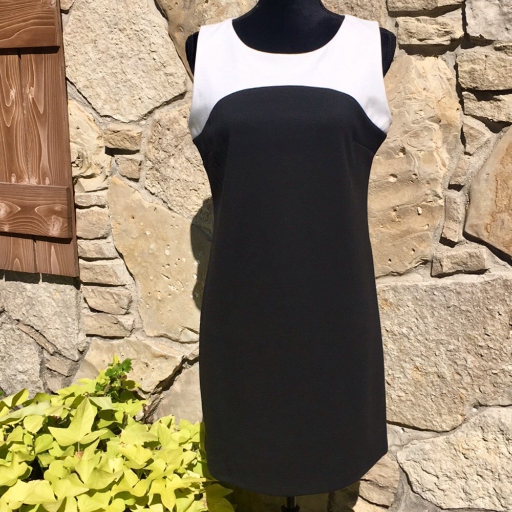 APT. 9  petite dress